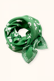 Foulard Cool -  Perroquet