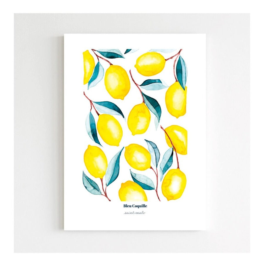 Affiche 30x40 Les citrons