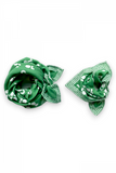 Foulard Cool -  Perroquet